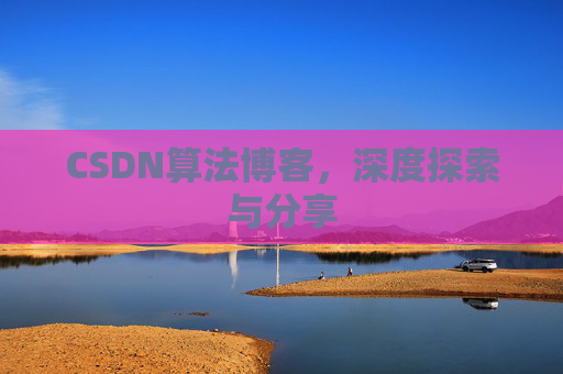 CSDN算法博客，深度探索与分享